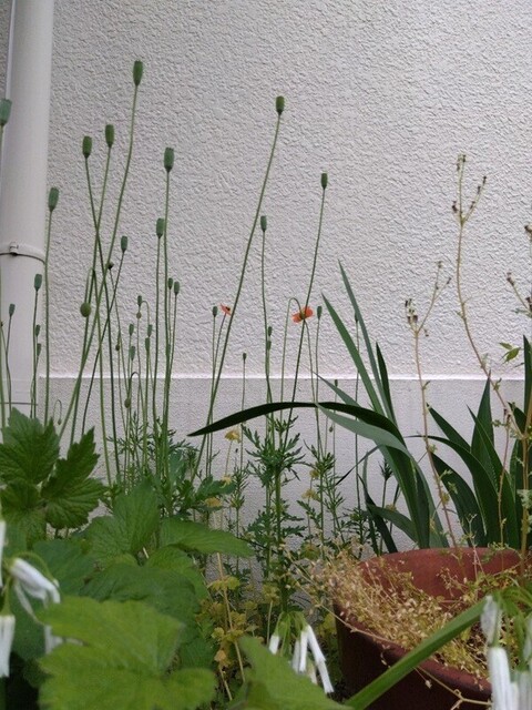 250429_2.jpg
